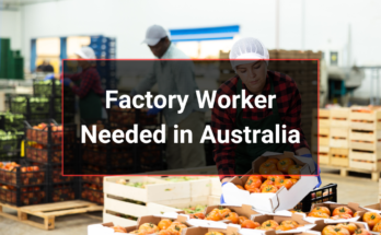 Factory Worker Needed in Sydney Australia