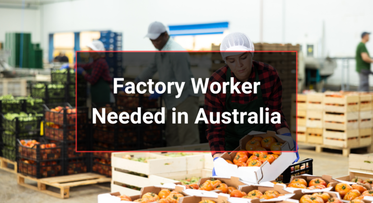 Factory Worker Needed in Sydney Australia