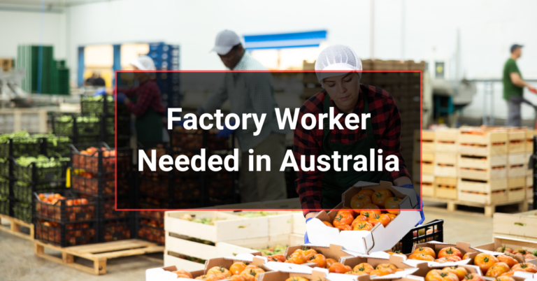 Factory Worker Needed in Sydney Australia