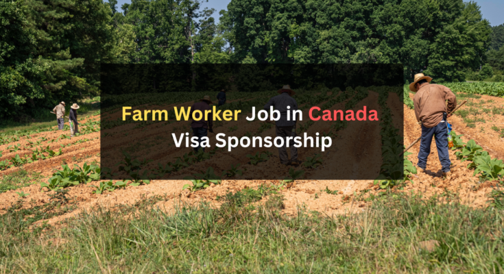 Farm Worker Job in Canada with Visa Sponsorship