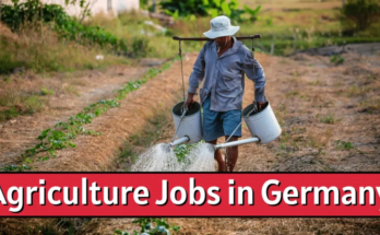 Visa Sponsorship Agriculture Jobs in Germany 2024 – Apply Now