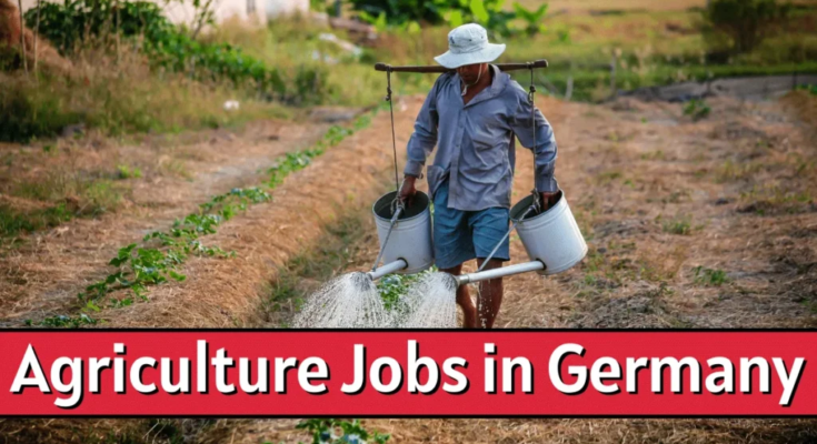 Visa Sponsorship Agriculture Jobs in Germany 2024 – Apply Now