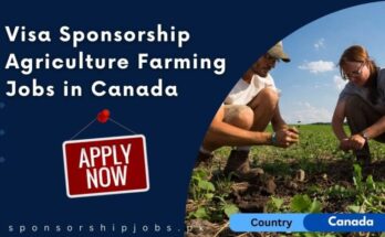 Visa Sponsorship Labourer Fruit Farming Jobs in Canada – 2024