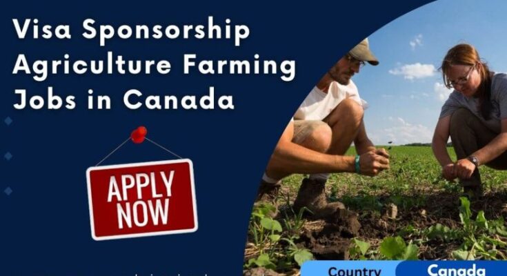 Visa Sponsorship Labourer Fruit Farming Jobs in Canada – 2024