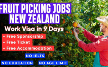 Fruit Picking Jobs in New Zealand 2025 – Visa Sponsorship