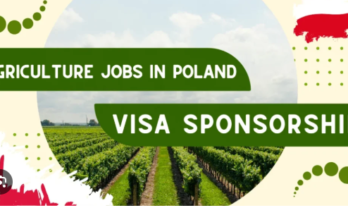 Visa Sponsorship Mushroom Farm Jobs in Poland 2025