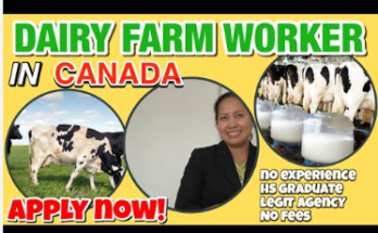 Agriculture / Dairy Farming Workers Jobs in Canada 2025