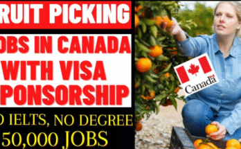 Fruit Picker Jobs in Canada with Visa Sponsorship 2026