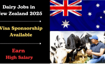 Dairy Farm Workers Jobs in New Zealand with Visa Sponsorship 2025