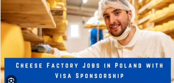 Cheese Factory Jobs in Poland with Visa Sponsorship