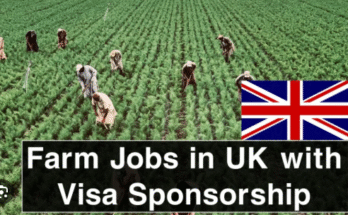 Agricultural Specialist Jobs in UK with Visa Sponsorship 2025 – Hiring Now