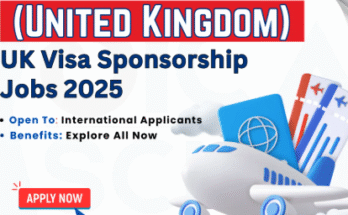 Business Support Officer Jobs in England 2025 – Apply Now