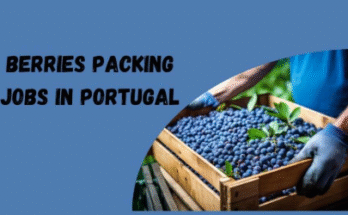Berries Packing Jobs in Portugal With Visa Sponsorship